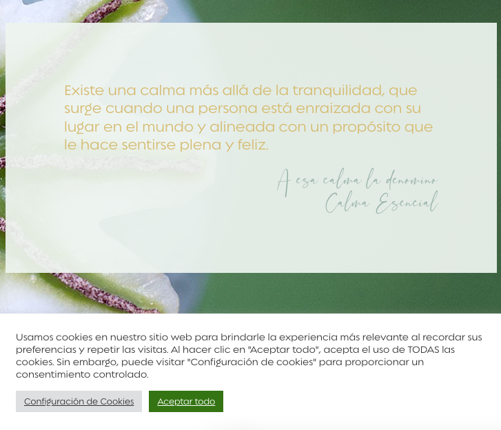 popup cookies web