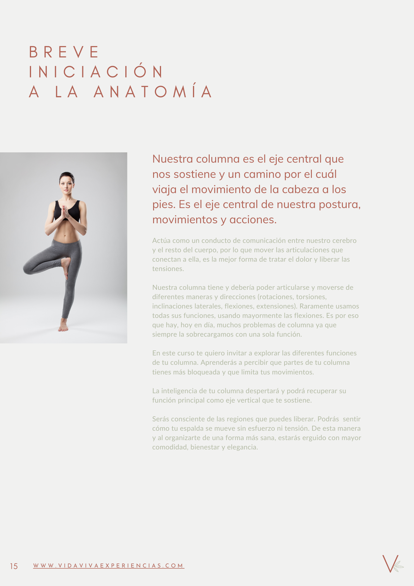 Diseño ebook corporativo en Canva Vida Viva