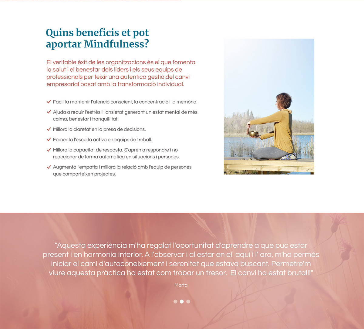 Diseño web Cristina Bubé Mindfulness