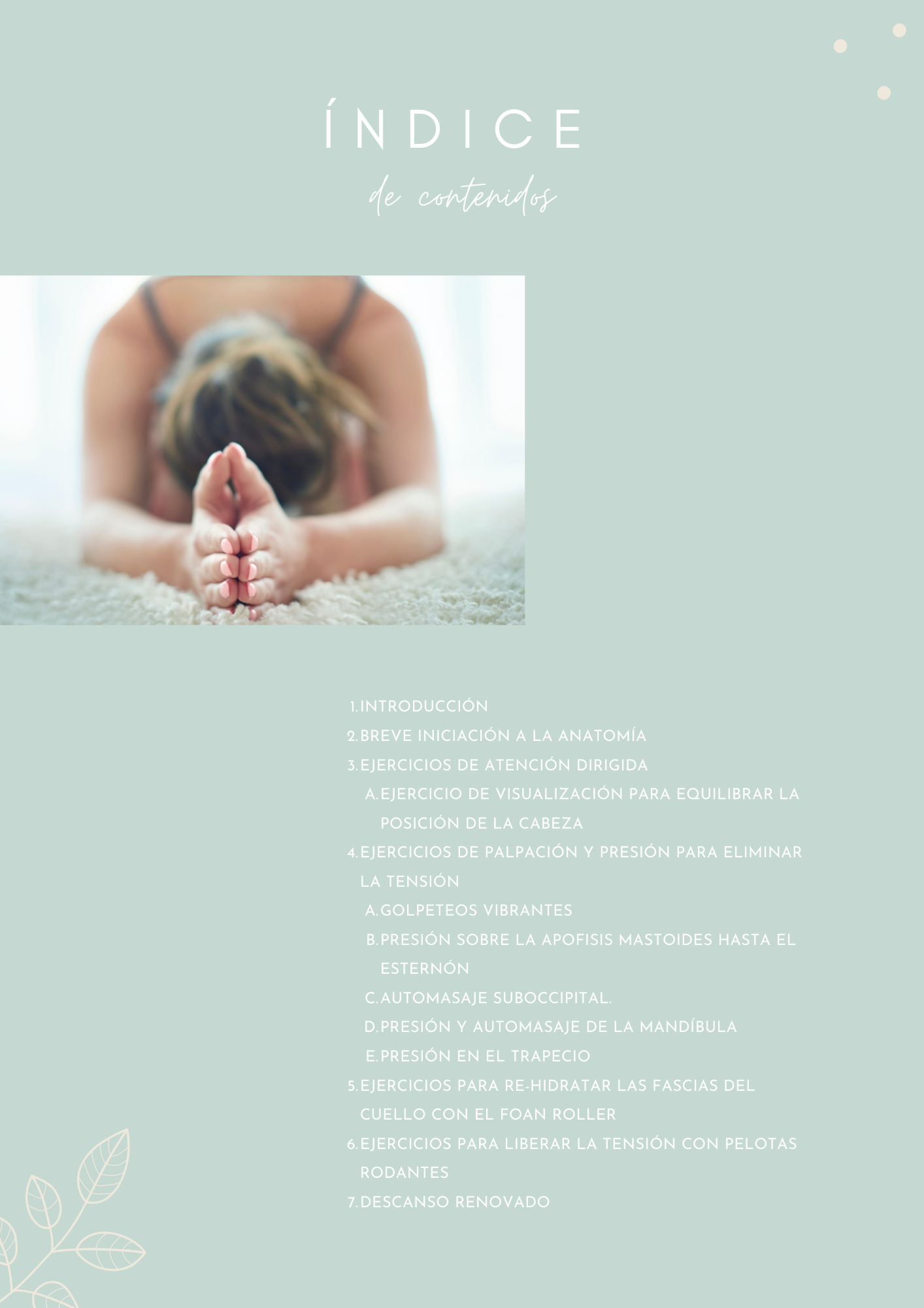 Diseño ebook corporativo en Canva Vida Viva