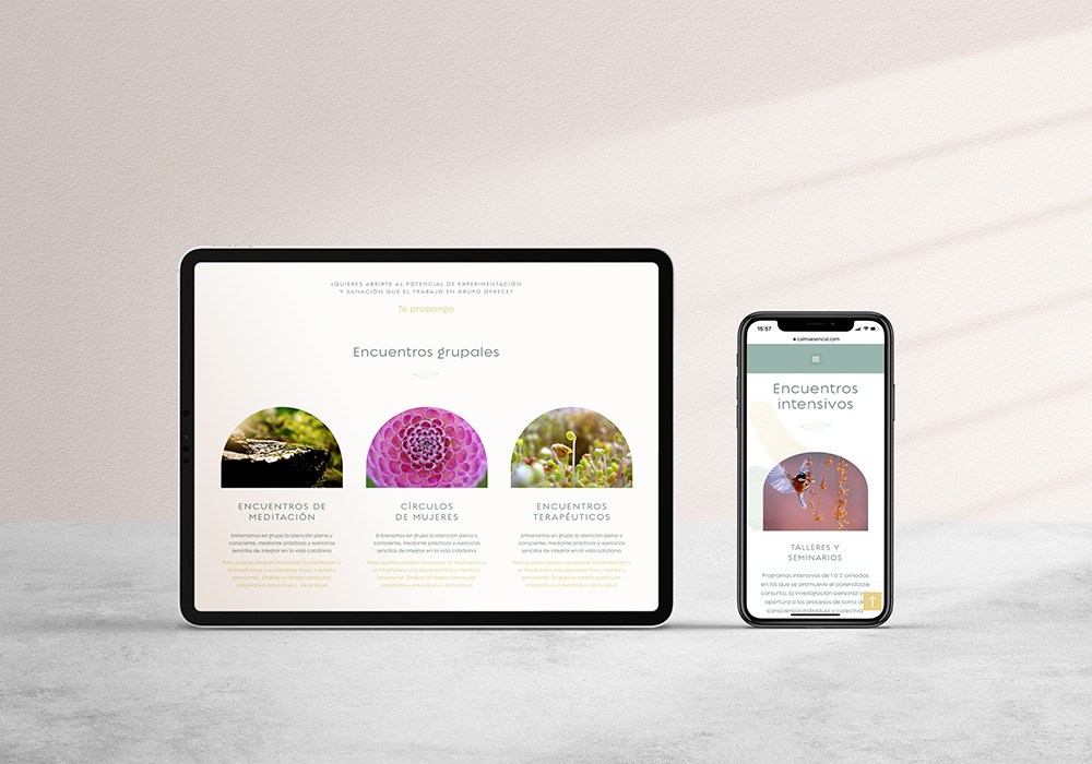Diseño web personalizada y a medida en WordPress