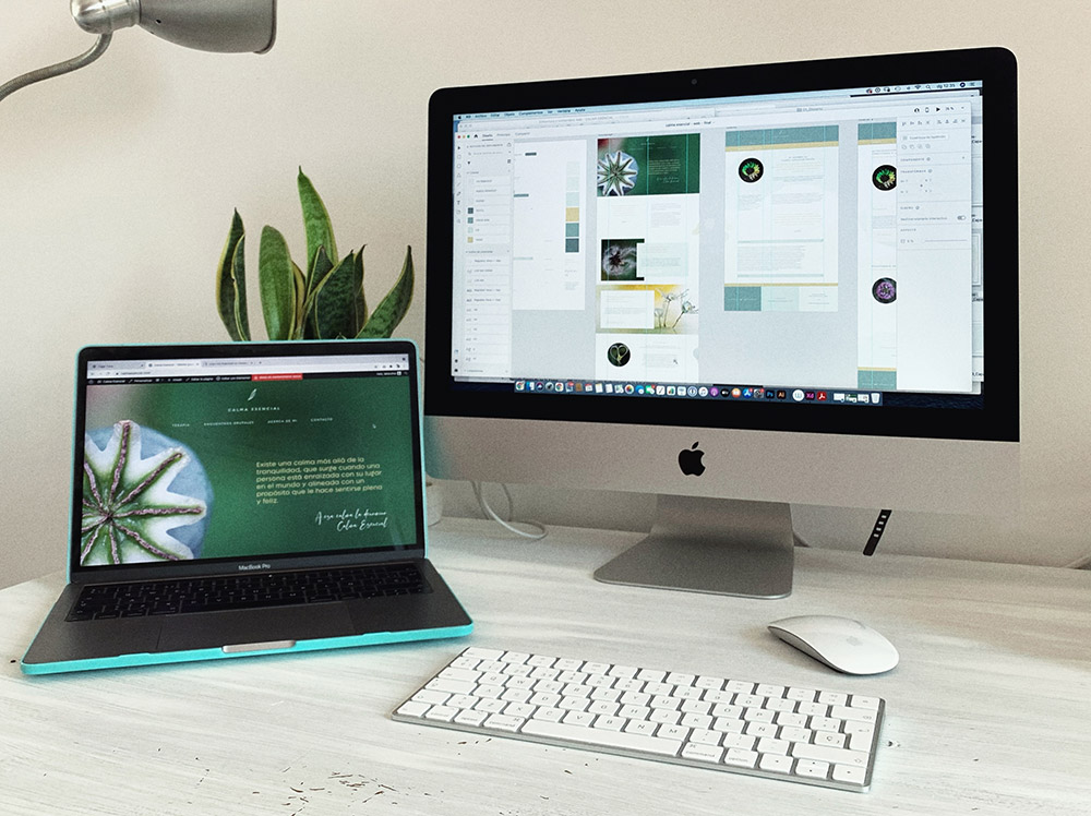 Diseño web personalizado y a medida con WordPress