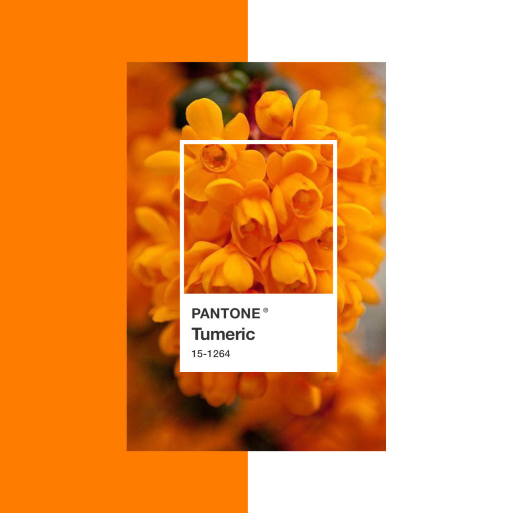 Colores primaverales: Pantone Tumeric Naranja