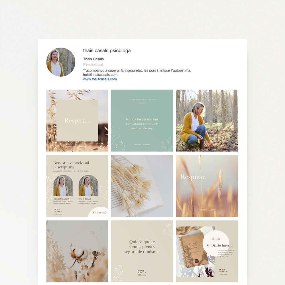 diseño instagram corporativo