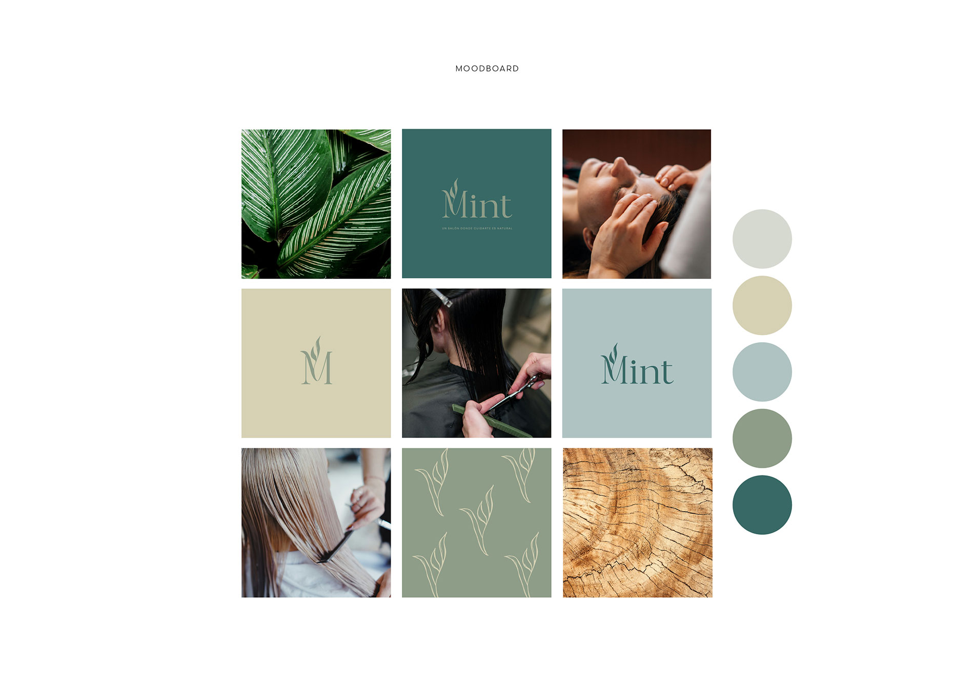 Mxin - Moodboard con inspiración orgánica para el branding de un salón de belleza natural.